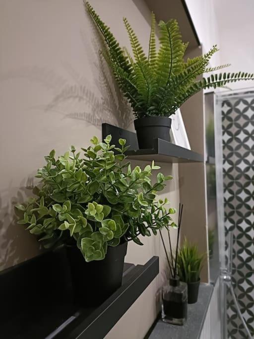 Dimora Isonzo Apartment Syracuse Bagian luar foto